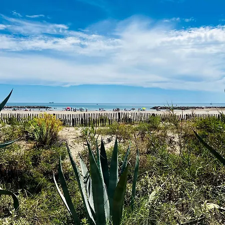 En Bord De Sète